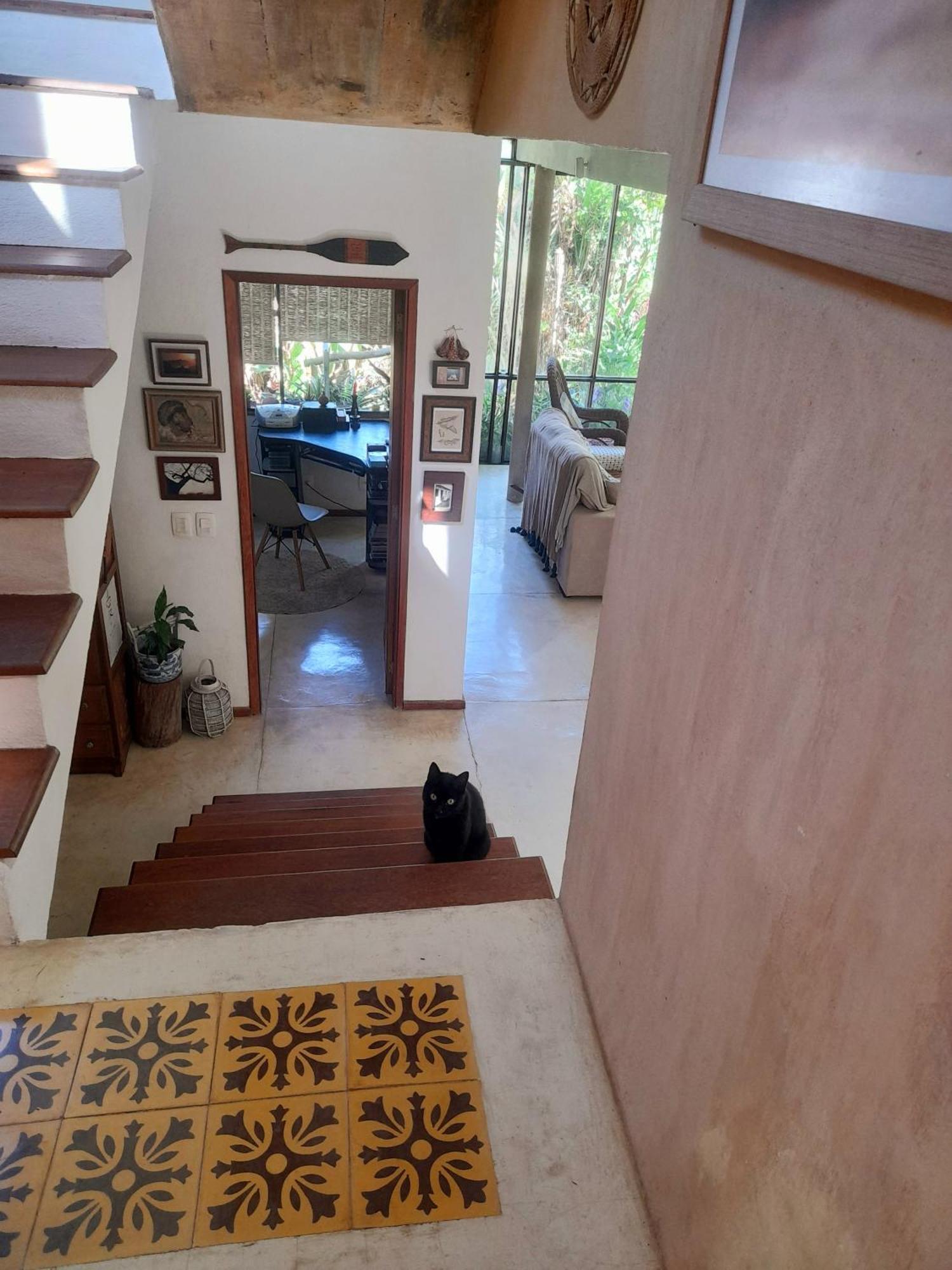 Casa De Vidro Appartement Petrópolis Buitenkant foto